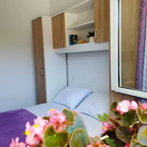 Apartman, And Kata Pola